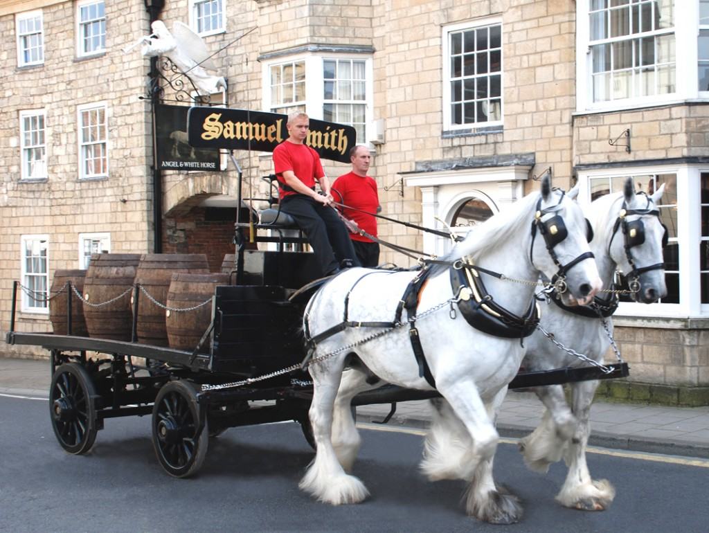 White Shire Horses Of Samuel Smith Brewery
